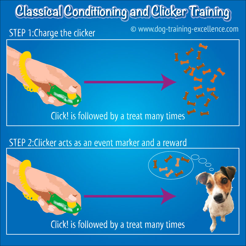 Clicker Training Infographic