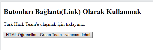 Çıktı