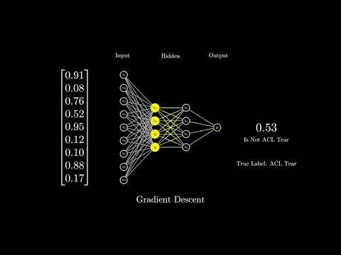 Demo Video on Adversarial Training (My Final Year Research Project)