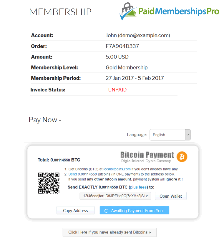 Bitcoin Payment Page