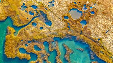 Marshland, Gloucester, Massachusetts (© Thomas H. Mitchell/Getty Images)