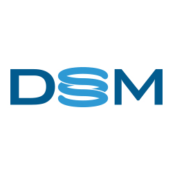 Virtual DSM