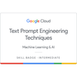 Text Prompt Engineering Techniques Skill Badge