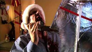 Christmas Tree Attacks Family