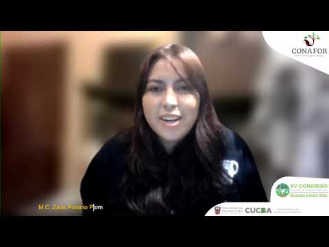 Video 1