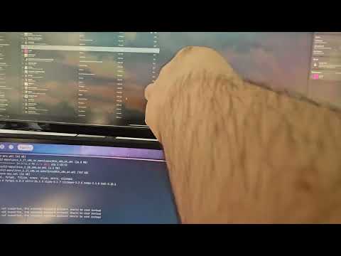 Youtube Video of Hyprland Cursor Issue