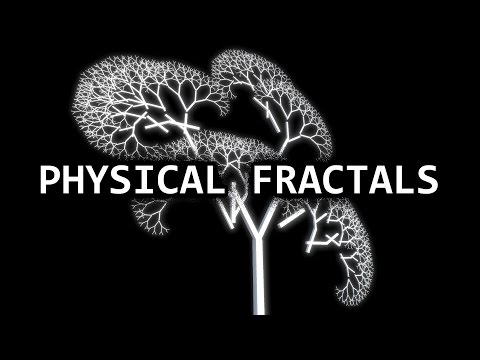 Physically Simulating the Generated Fractals - YouTube Video