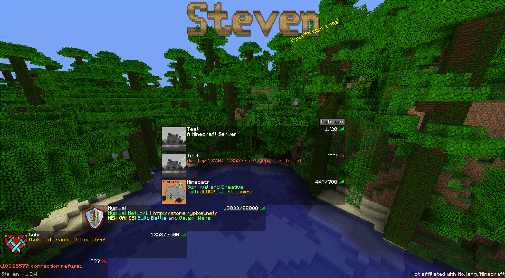 Steven's server list after disconnecting from a server