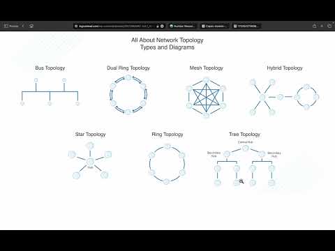 Introduction to Network and Topology