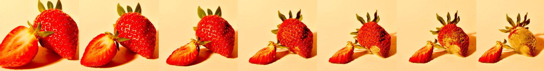 Rotting strawberry