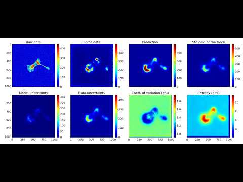 Prediction of Cell Traction Forces with uncertainty