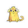 Golden Dog Cat (旺财汪)
