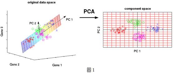 PCA主成分分析学习总结