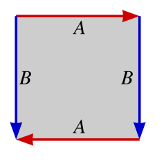 Klein Bottle