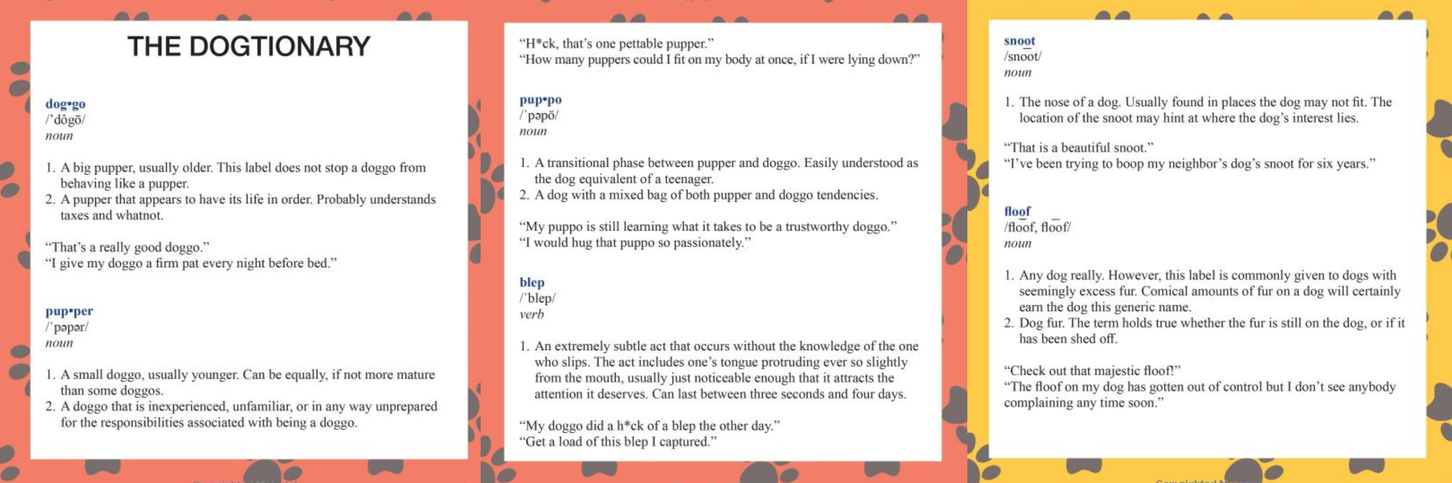 Dogtionary from WeRateDogs book