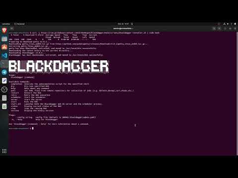 Installation and Setup of Blackdagger