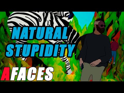 26.- 'Natural Stupidity'