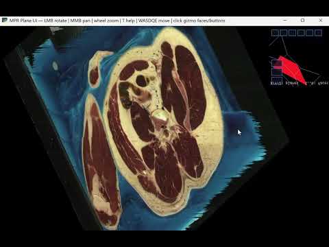 GitHub - JeffreyYijiWang/human_visualization: Visualization of human ...