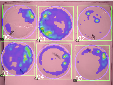 heatmap