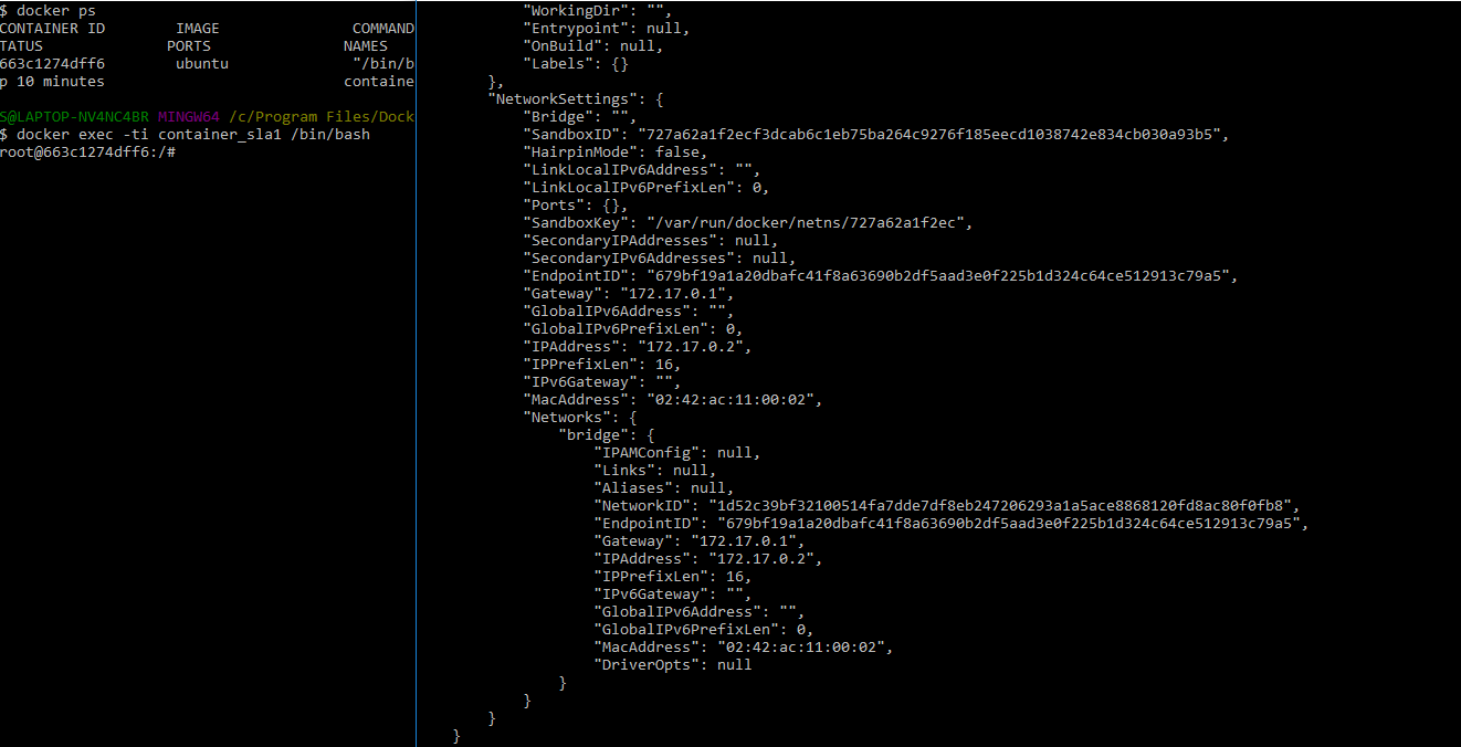 docker_inspect_container.png