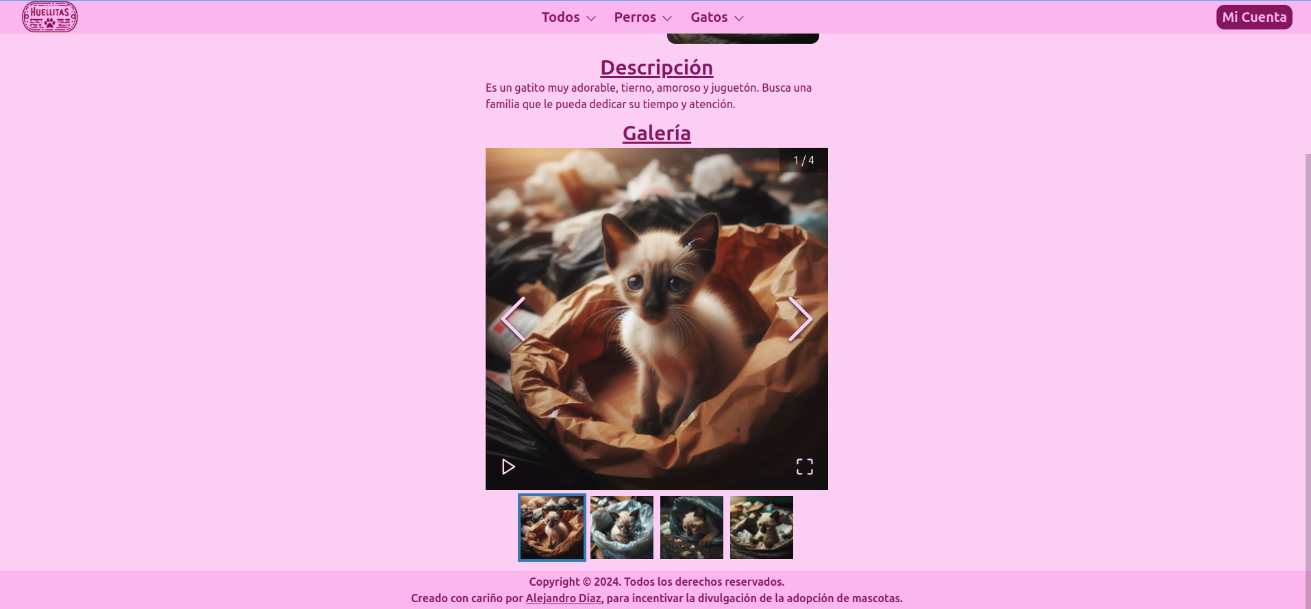 Image of the pet detail page from the desktop two