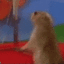 :dramatic-chipmunk: