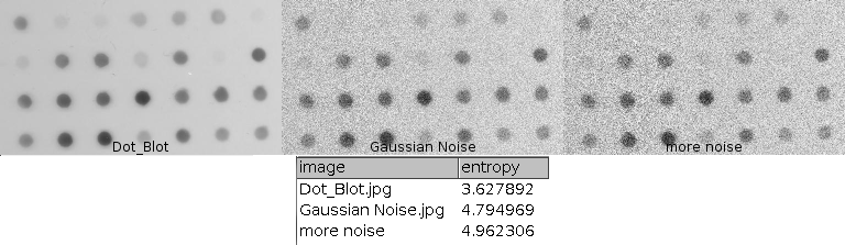 discrete_histogram_entropy.png