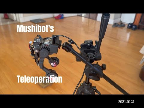 Mushibot's teleoperation from a website