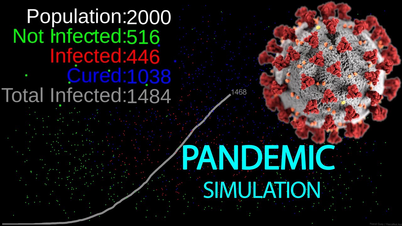 Pandemic Simulation Image