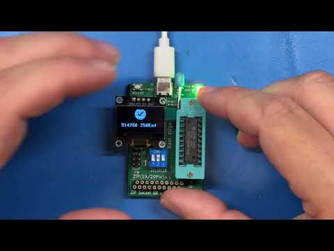 YouTube Demonstrator Video