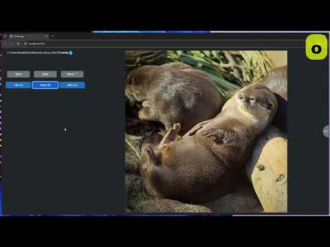 Watch the presentation