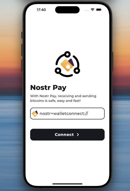 Nostr Pay Initial Walkthrough