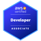 AWS Certified Developer – Associate