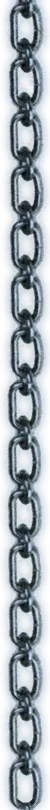 Right image