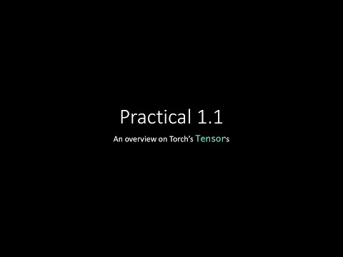 Practical 1.1 - Torch