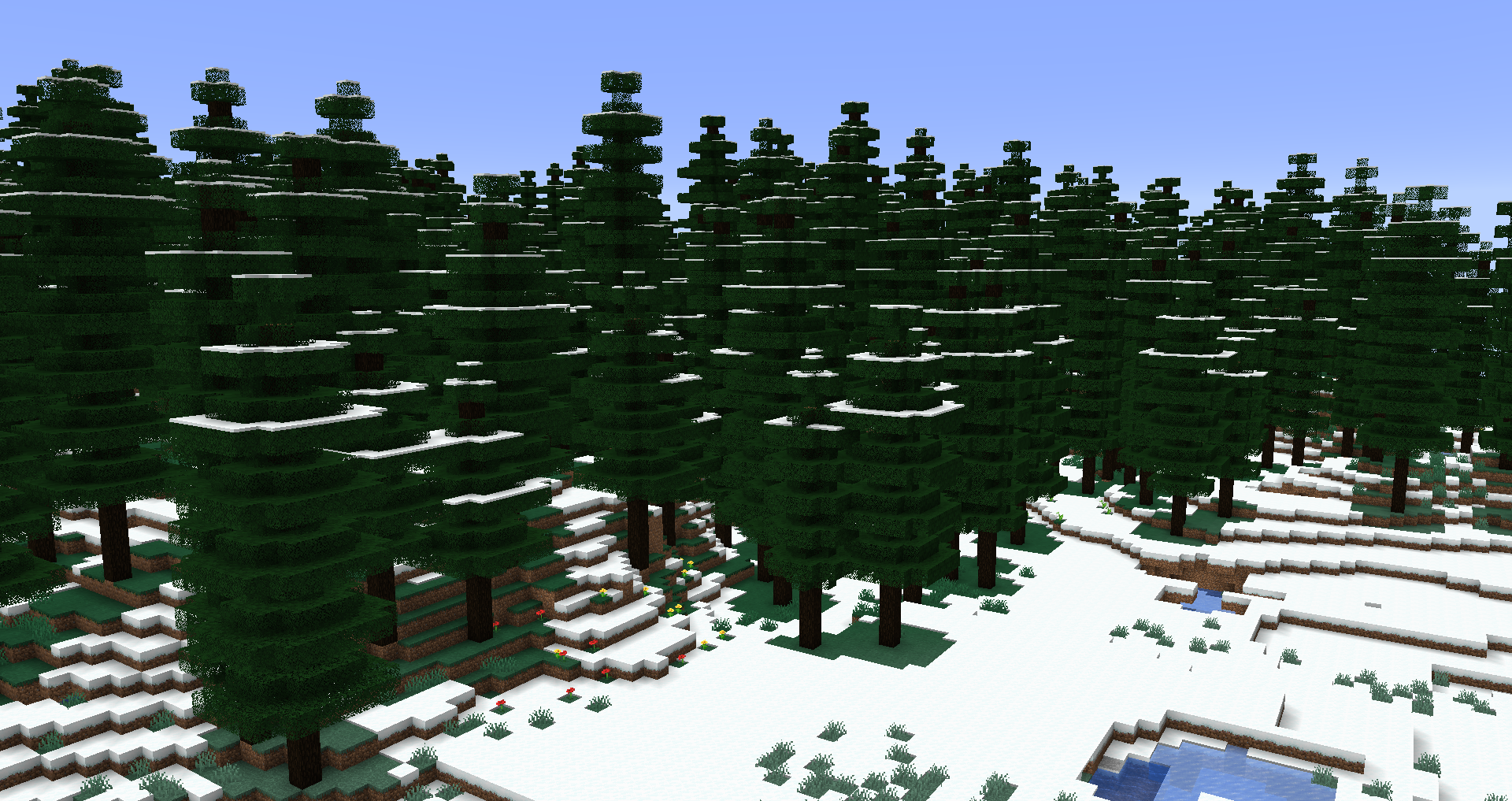 Snowy Coniferous Forest Image