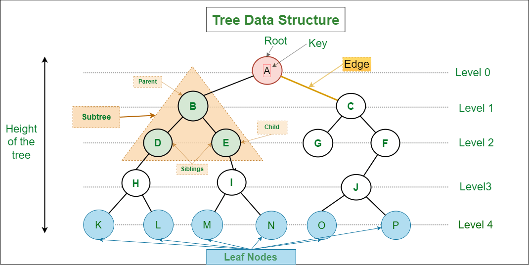 Tree Data Structure