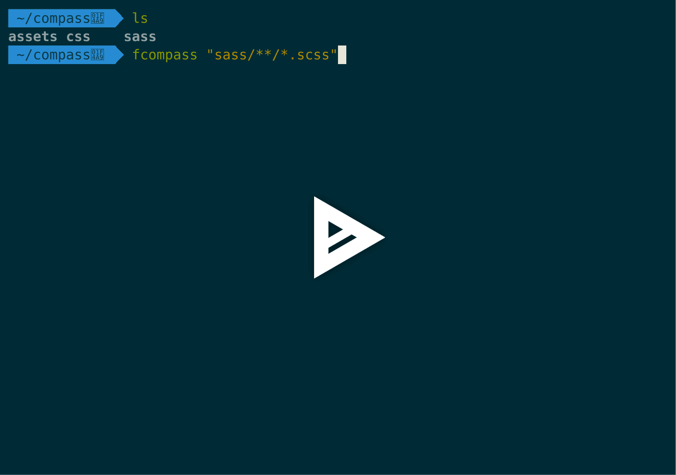 asciicast