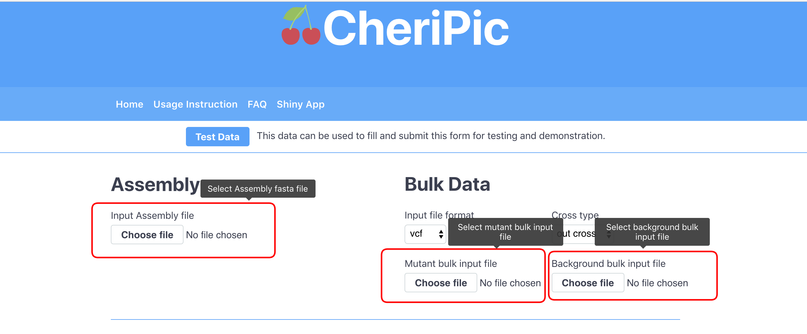 Web app inputs