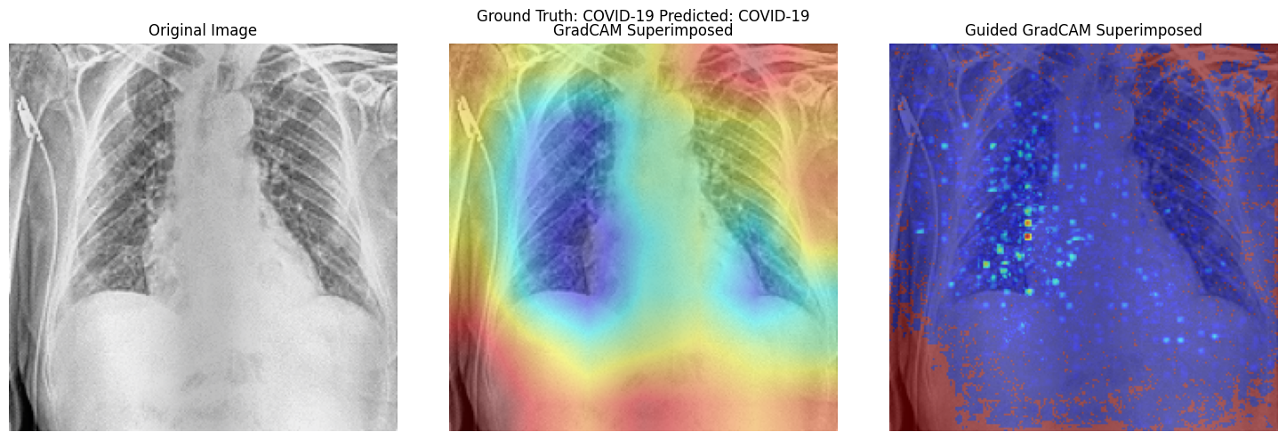 Activation Map Visualisation