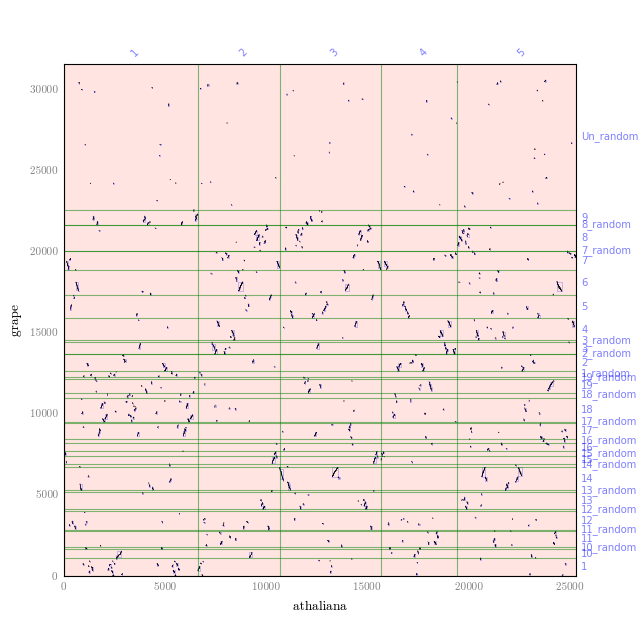 sample dotplot