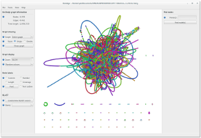 K-mer 21 graph