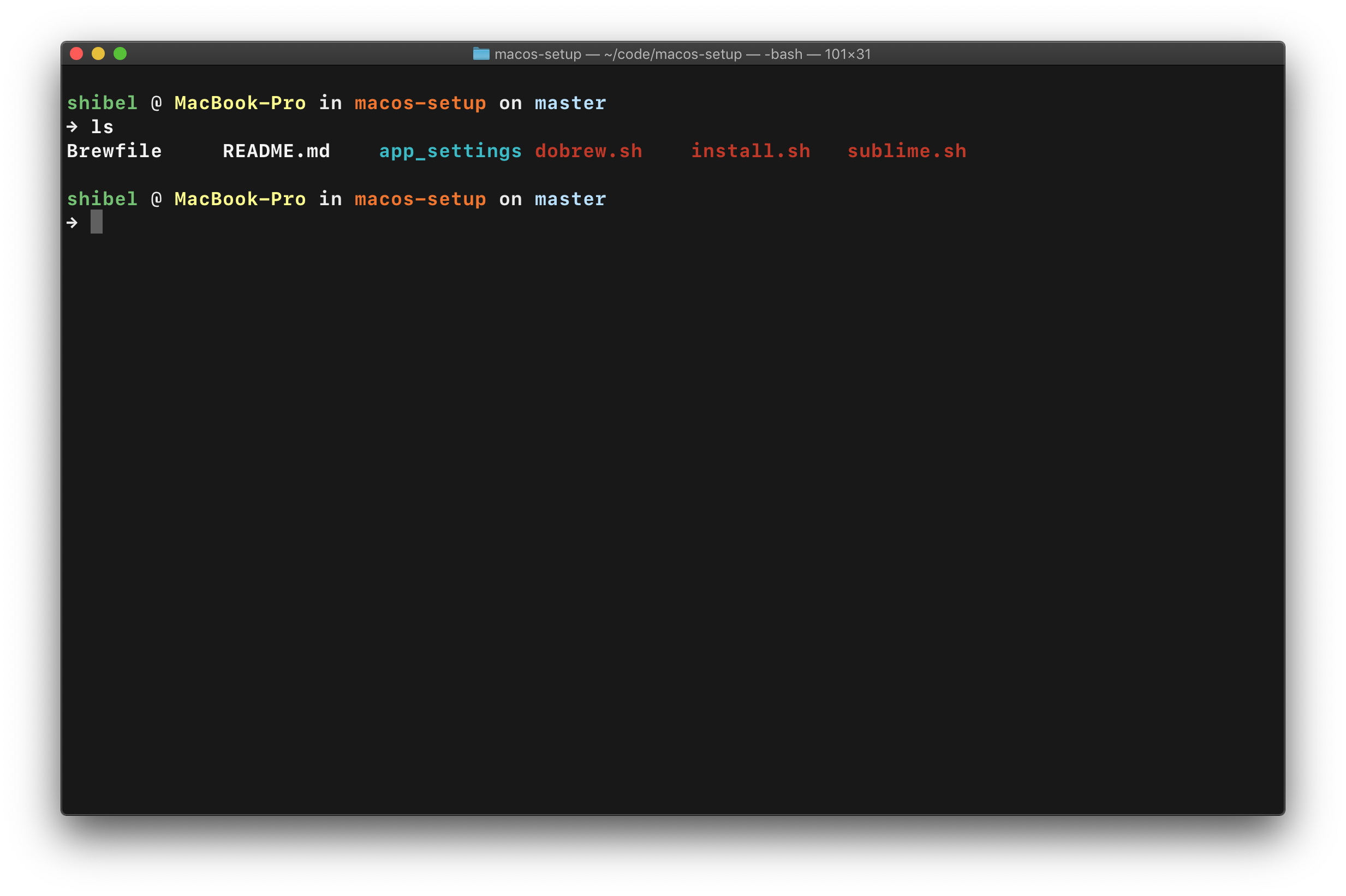 Terminal Screenshot