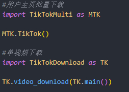 TikTokDownload包