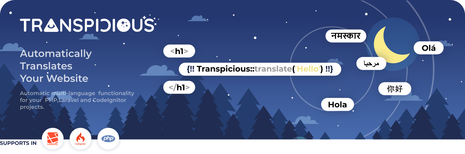 Transpicious logo