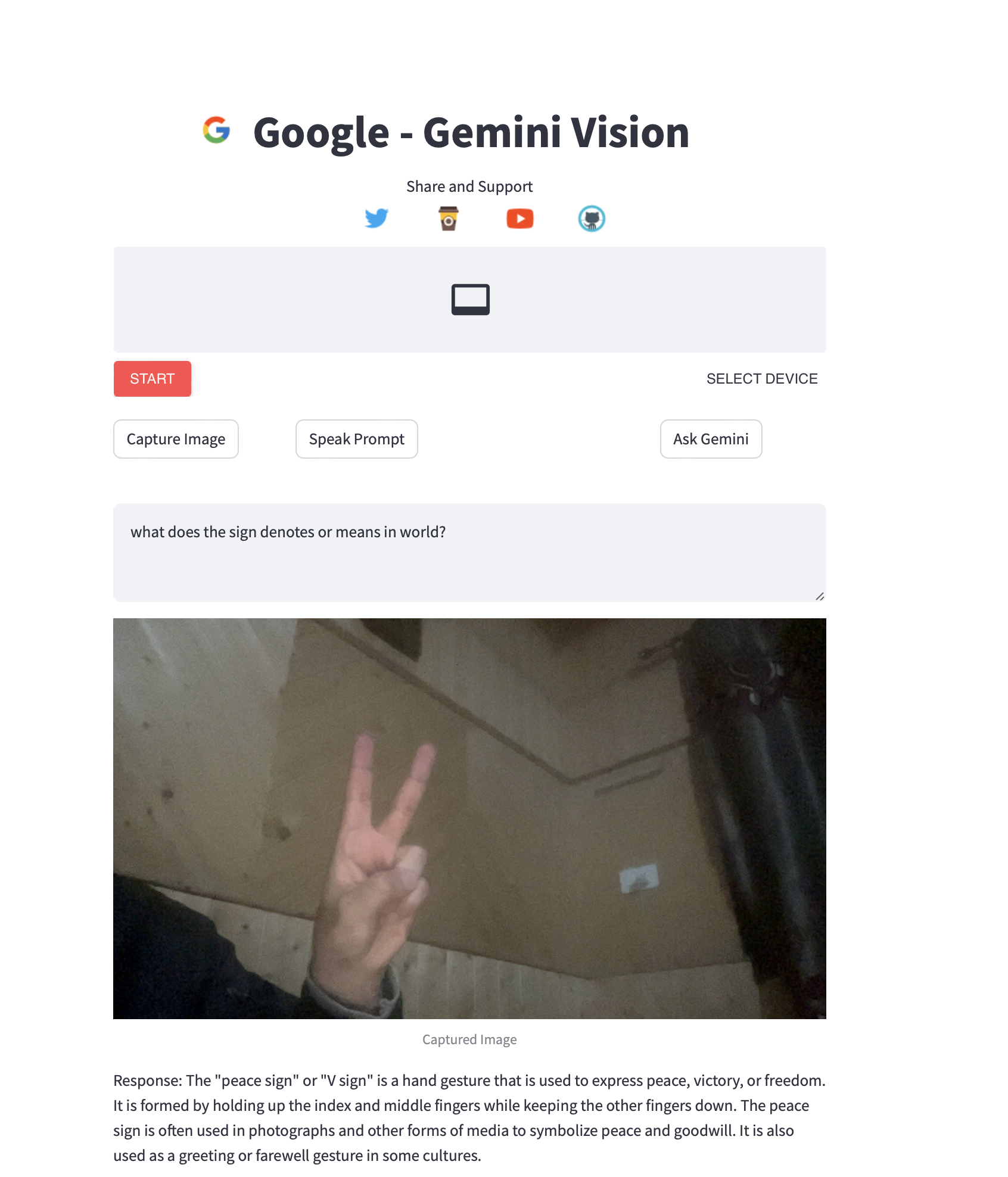 Gemini Ai Vision Gesture