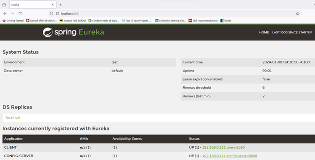 Eureka on port 8761