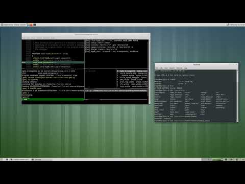 Linux kernel kgdb demo