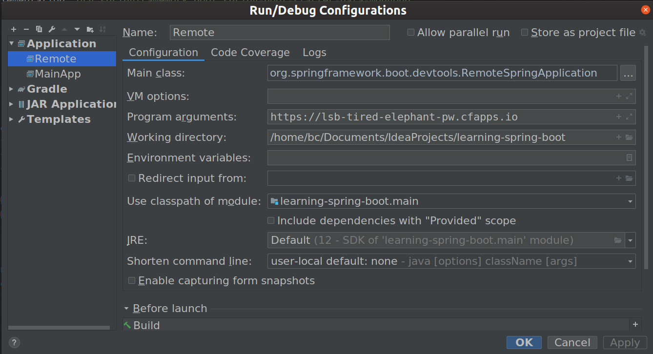 Intellij Idea IDE Run/Debug Configuration