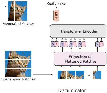 ViTGAN Discriminator architecture